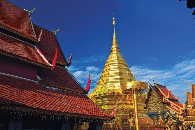 Chiang Mai City & Temples Tour - Reviews and Feedback