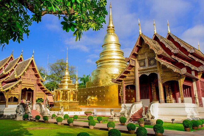 Chiang Mai Old City & Temples Guided Walking Tour - 3 Hrs - Reviews and Feedback