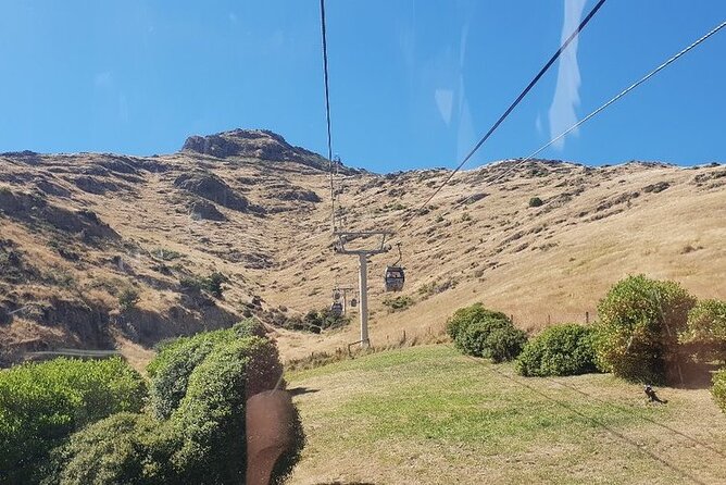 Christchurch Gondola Ride Ticket - Tips for a Great Visit