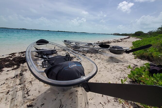 Clear Kayak Mangrove Eco Tour - Participant Requirements