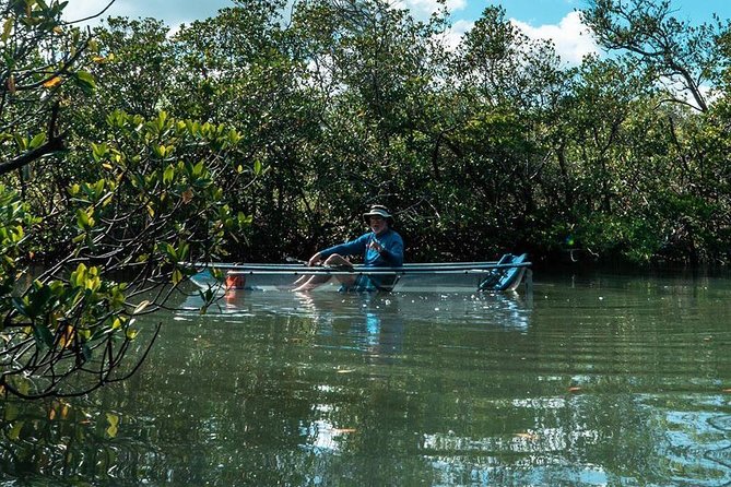 Clear Kayak Tours in Fort Pierce - Customer Reviews