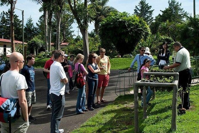 Coffee Experience and Poas Volcano Half Day Tour From San José - Tips for a Great Experience