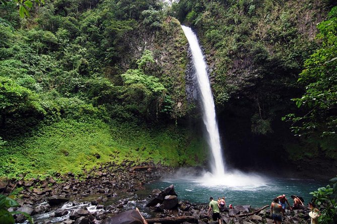 Combined Tour (Hanging Bridges, La Fortuna Waterfall, Arenal Volcano) - Wildlife and Nature