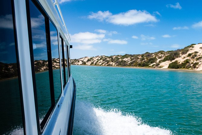 Coorong 3.5-Hour Discovery Cruise - Guest Feedback