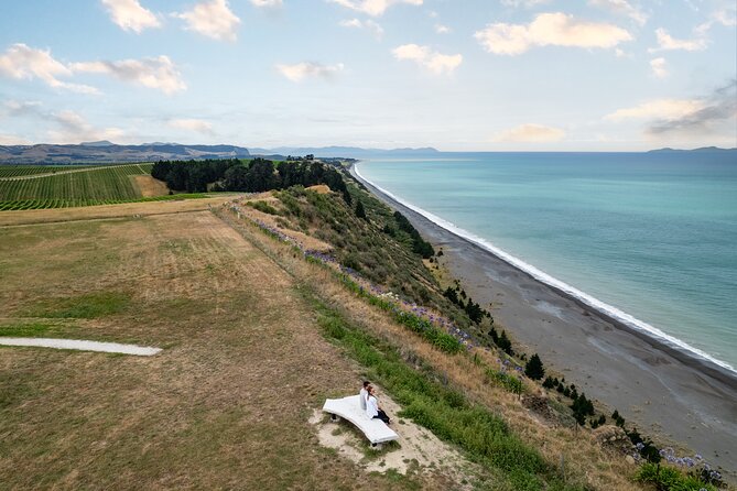 CRUISE SHIP DAY Hop on Hop off Yealands & Marlborough Tour - Wine Tasting Experience