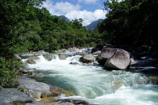 Daintree Rainforest, Mossman Gorge Small-Group From Port Douglas - Wildlife Sightings and Natural Wonders