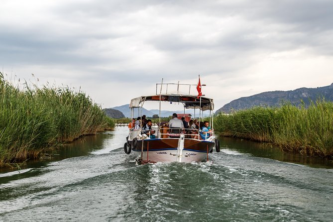 Dalyan Mud Baths and Turtle Beach Day Trip From Bodrum - Traveler Experiences and Feedback