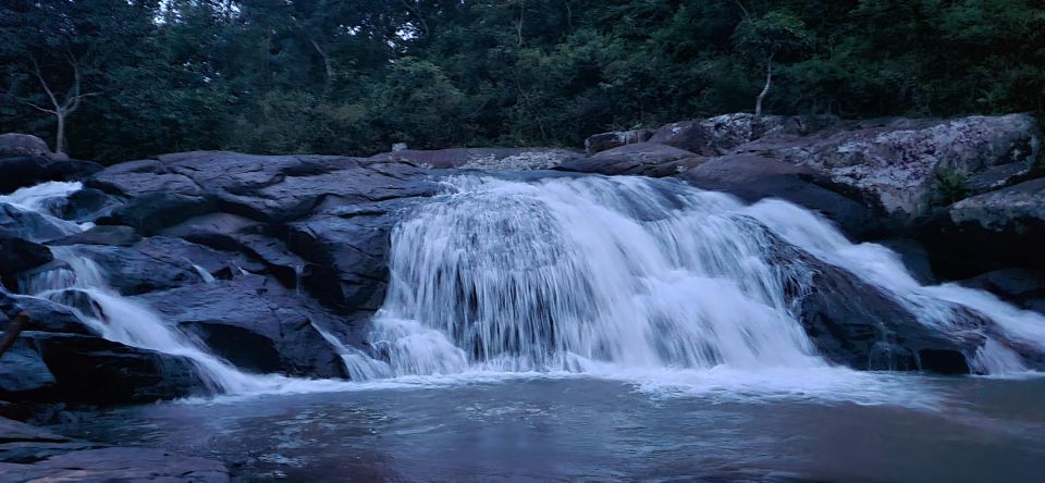 Daringbadi Delight: Immerse in Authentic Rural Odisha Exper - Engaging With Local Communities