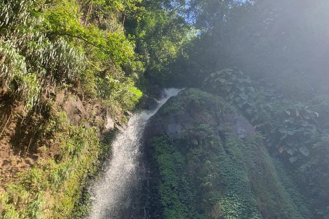 Dark View Falls and Beach Tour With Detention Tours - Accessibility Features