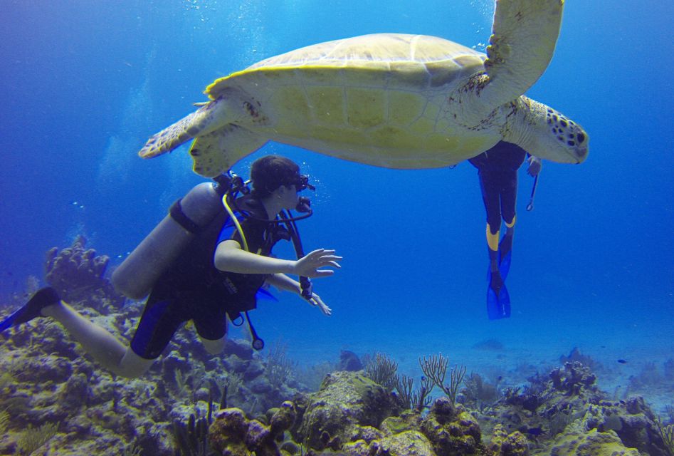 Deep Dive Discovery - Scuba Diving in Paracas - Whats Included in Your Dive