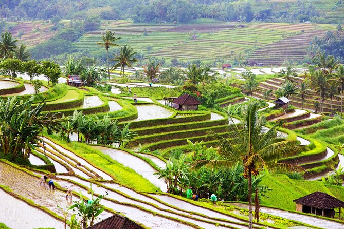 Discover Hidden Waterfall, Unesco Rice Terraces and Mountain Temple - Visiting the Mountain Temple