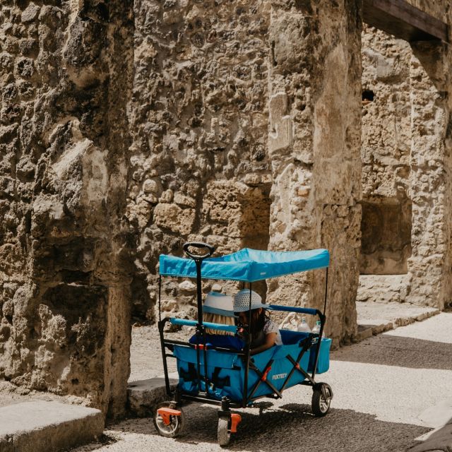 Discover Pompeii: Walking Tour Through the Buried City - Highlights of the Tour