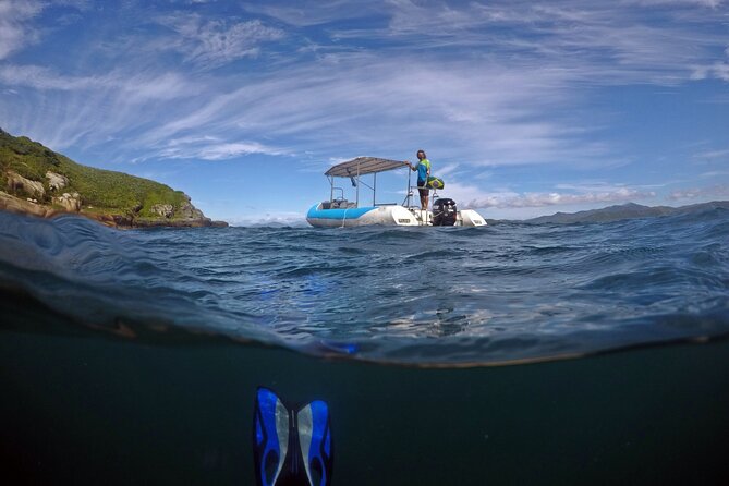 Diving With Turtles in Floripa - Tips for an Enjoyable Dive