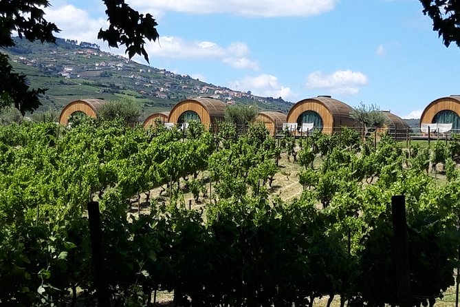 Douro Valley Private Premium Tour With Wine Tasting (1 to 4 People) - Booking and Pricing Details