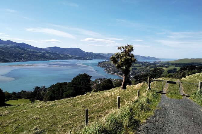 Dunedin City, Wildlife and Larnach Castle - Meeting and Pickup Details