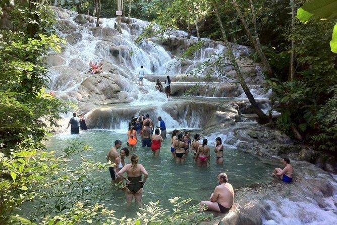 Dunns River Falls and Jamaica Sightseeing Private Tour - Participant Requirements