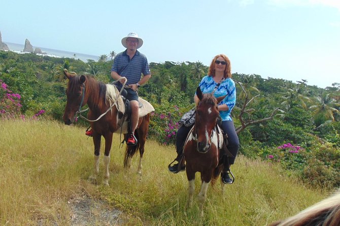 East Coast Horseback Riding & Waterfall Excursion - Wildlife and Flora