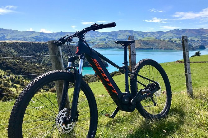 Electric Mountain Bike & Sea Kayak Tour in Akaroa - Participant Reviews