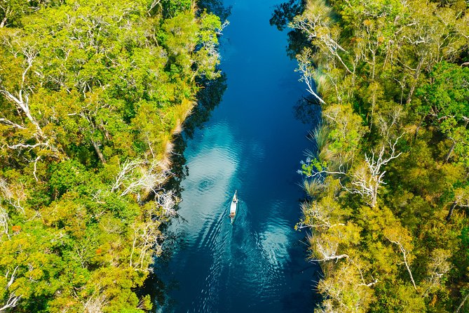 Everglades Explorer - Noosa Everglades Tour - Wildlife Observation Highlights