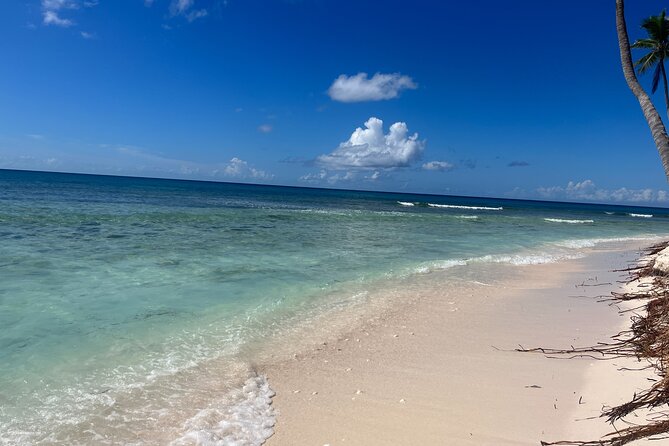 Exclusive Adventure in Saona: Small Group - Unique Features of the Tour