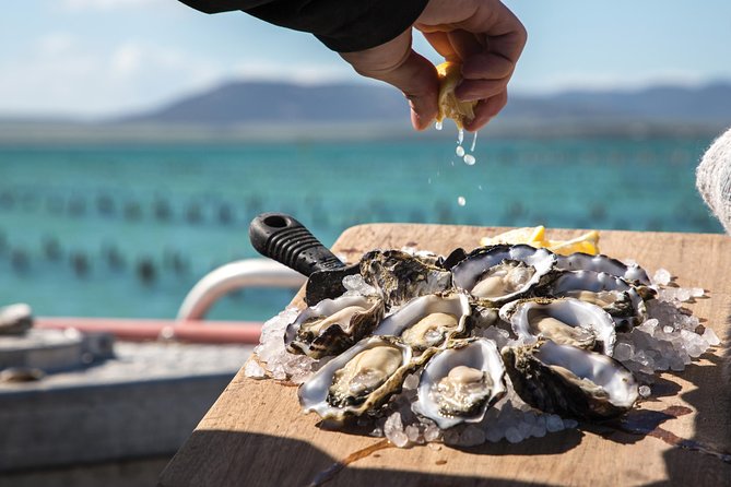 Experience Coffin Bay Oyster Farm and Bay Tour - Customer Feedback and Ratings