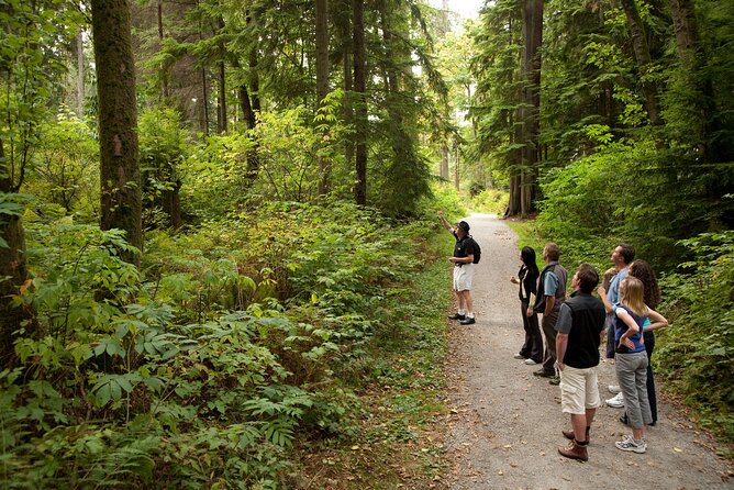 Exploring Vancouver: Includes Admission to Vancouver Lookout - Pricing Information