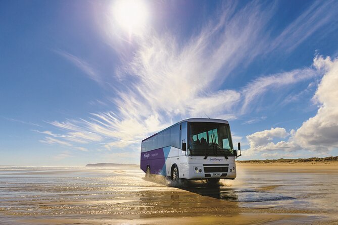 Far North New Zealand Tour Including 90 Mile Beach and Cape Reinga From Paihia - Customer Experience