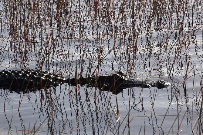 Florida Everglades Night Airboat Tour Near Fort Lauderdale - Accessibility Features