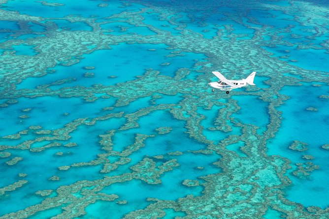 Fly Raft Package: Whitehaven Beach, Snorkel and Scenic Flight - Additional Information and Recommendations