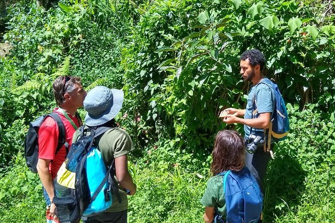 Forest Forager - Wild Food Walk - Booking Details