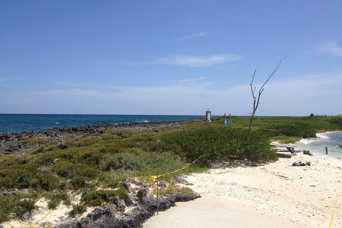 Freeport Snorkeling Peterson Cay National Park and Hotel Day Pass - Accessibility and Health Guidelines