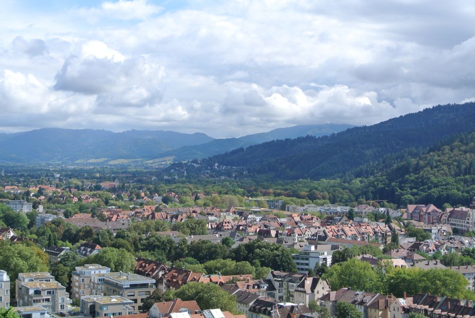 Freiburg - Historic Walking Tour - Architectural Highlights