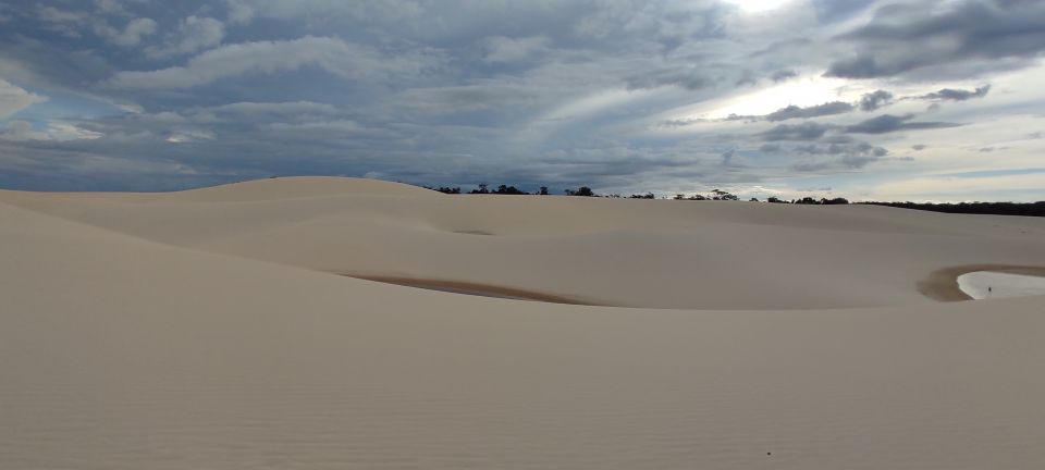 From Barreirinhas: Lencois Maranhenses National Park - Review Insights