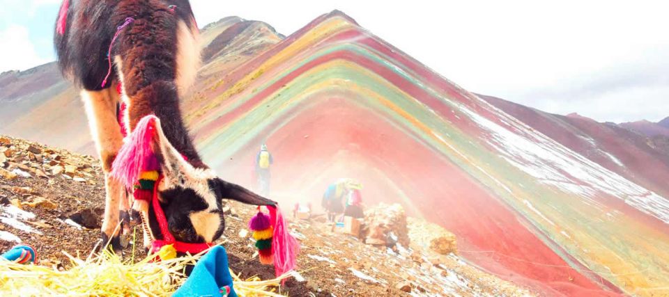 From Cuzco: Rainbow Mountain Adventure Private Tour - Booking and Cancellation Policies