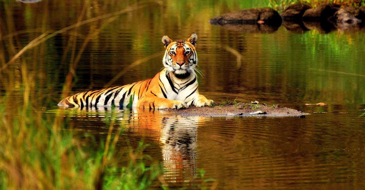 From Delhi: 5-Day Tiger Safari & Golden Triangle Tour - Highlights of the Golden Triangle