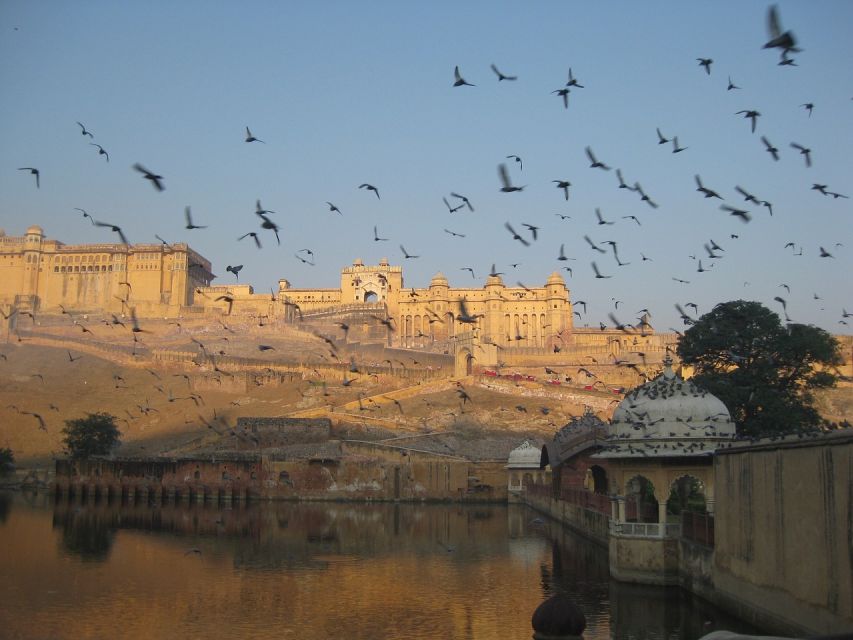 From Delhi: Private Jaipur & Amber Fort Guided Tour by Car - Group Size and Language Options