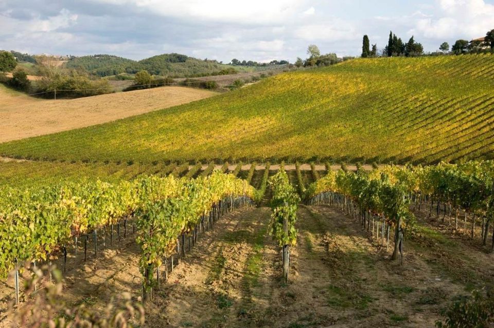 From Florence: Siena & San Gimignano Tour With Wine & Lunch - Important Information