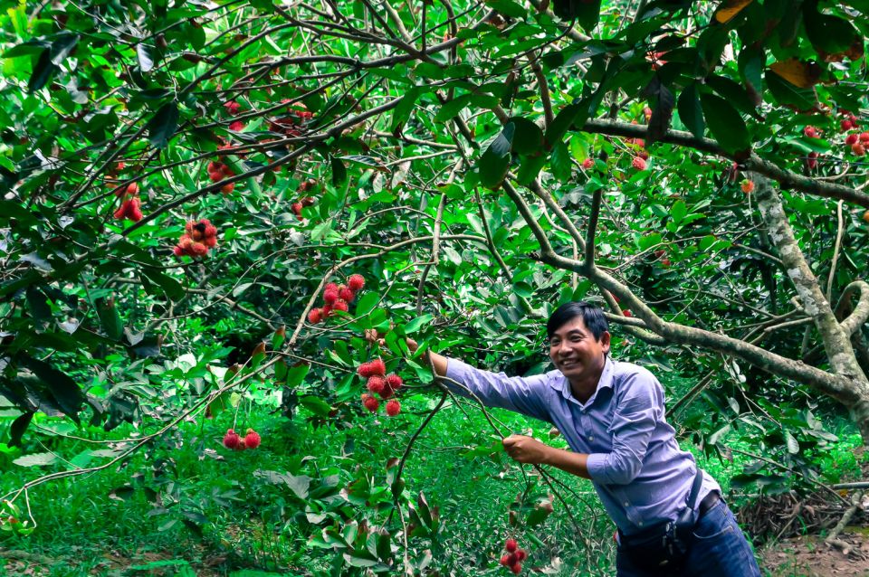 From Hcmc: Mekong Delta Private Tour With Cooking Class - Pricing and Discounts