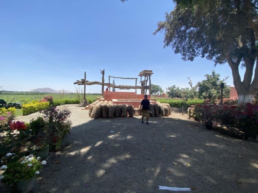 From Ica: Tour to Wine and Pisco Vineyards | Free Tasting | - Booking Information