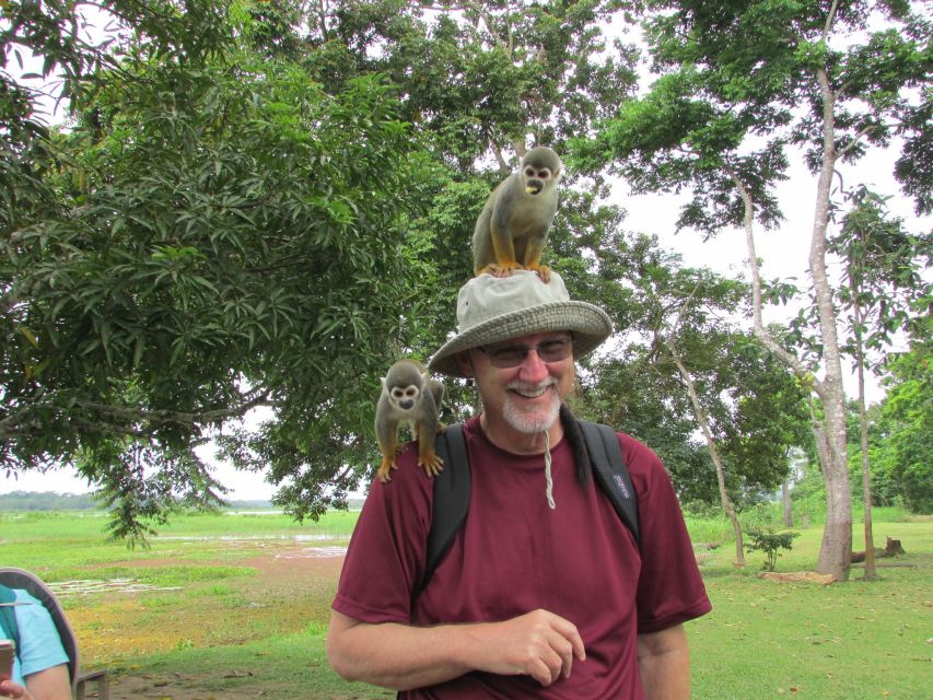 From Iquitos || Excursion to the Monkey Island Full Day || - Wildlife and Nature Experience