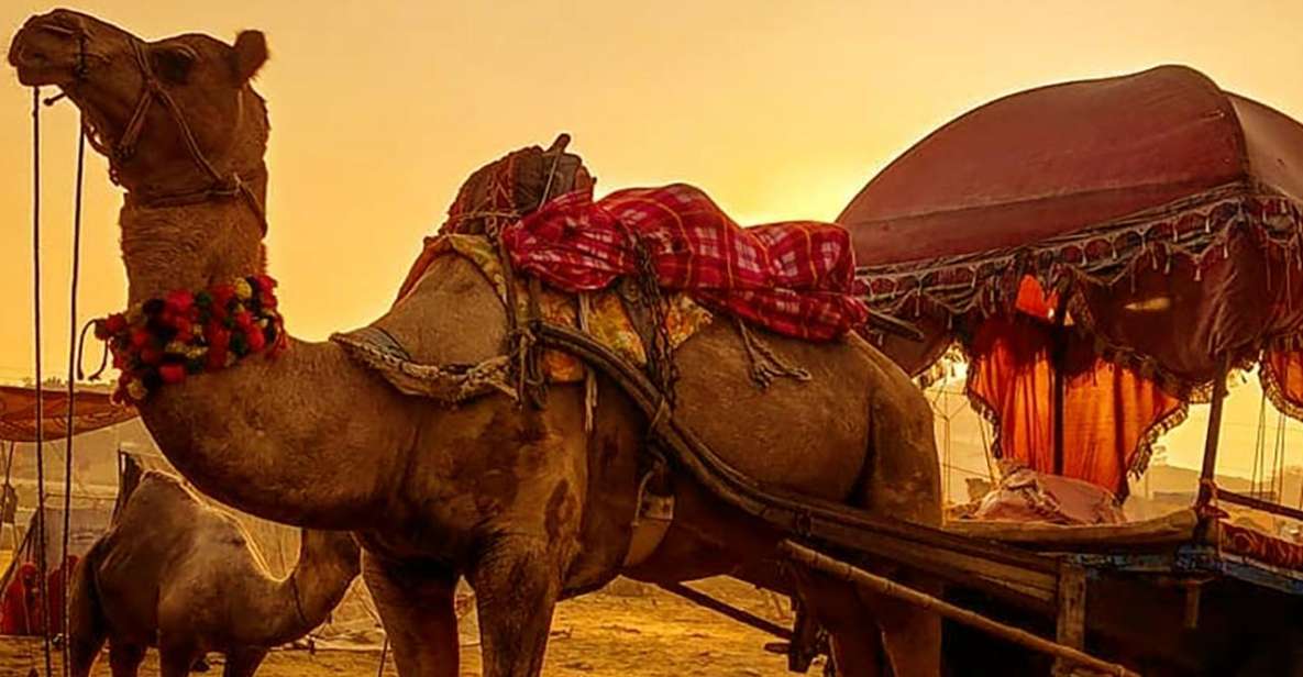 From Jaipur : Private Ajmer Pushkar Tour by Cab - Inclusions and Exclusions