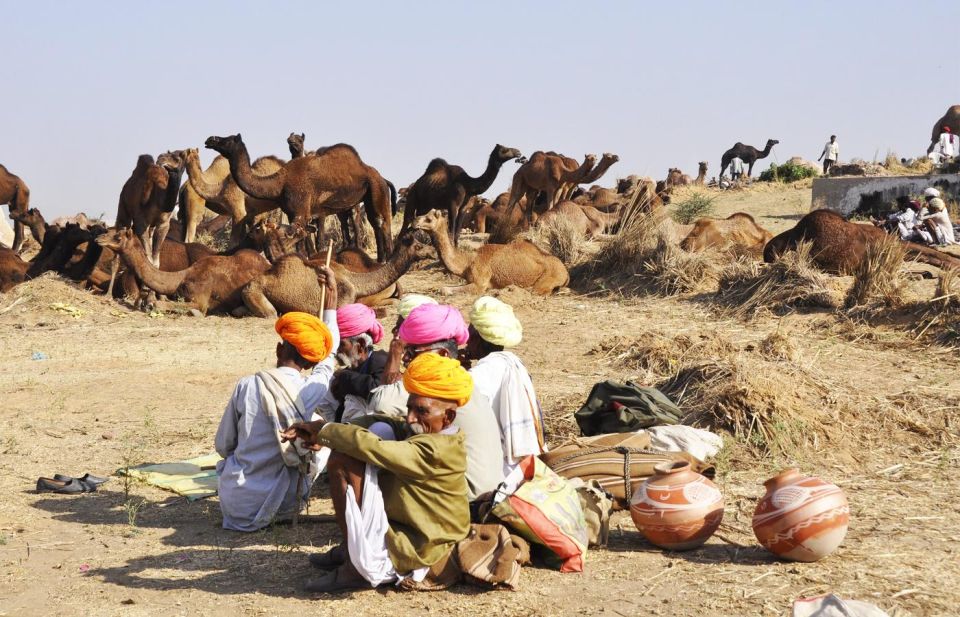 From Jaipur: Same Day Pushkar Self-Guided Day Trip - Inclusions and Exclusions