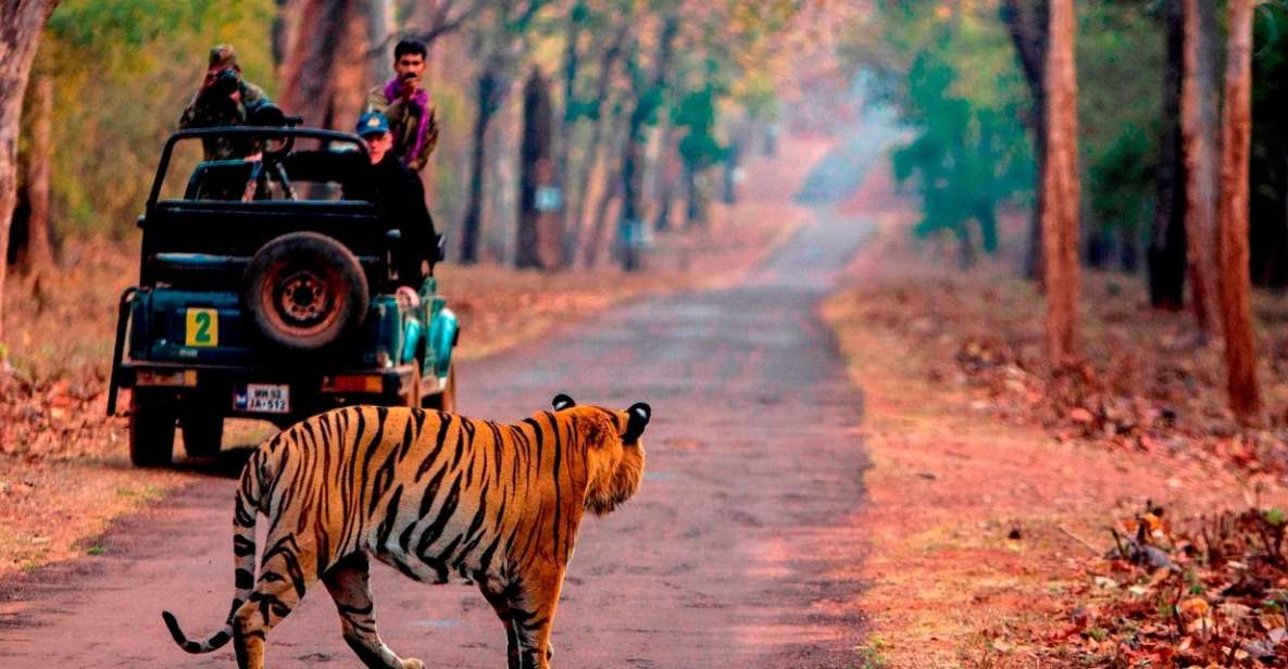 From Jaipur: Same Day Ranthambore Excursion - Exclusions to Note