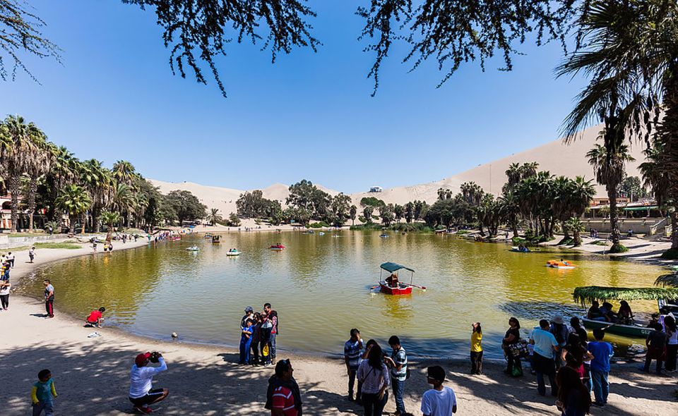 From Lima: Ballestas Islands, Huacachina, and Vineyard Tour - Vineyard Visit and Tasting