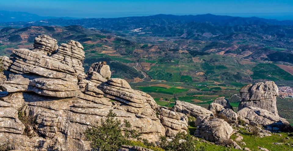 From Marbella: Antequera Wine Tour With Tastings and Lunch - Traditional Tapas Lunch