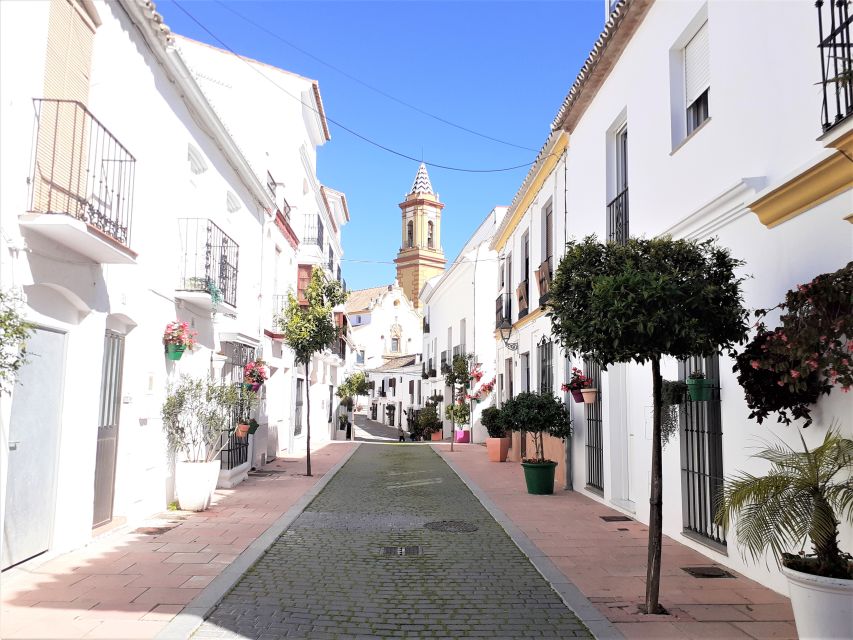 From Marbella: Guided Private Trip to Gibraltar and Estepona - Transportation and Accessibility