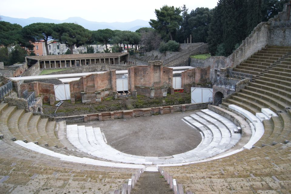 From Naples: Pompeii and Vesuvius Guided Day Trip With Lunch - Guided Tour of Pompeii