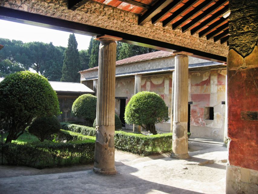 From Pompeii: Guided Walking Tour With Skip-The-Line Entry - Important Information