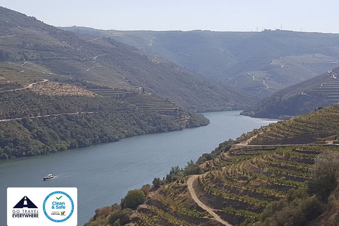 From Porto Private Tour Douro Valley Two Wineries, Lunch and Boat. - Recommendations for Travelers