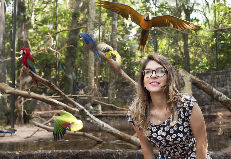 From Puerto Iguazú: Brazilian Bird Park Tour With Tickets - What to Expect